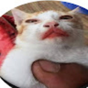 Meet your Posher, Brynn